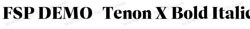FSP DEMO   Tenon X Bold Italic字体转换
